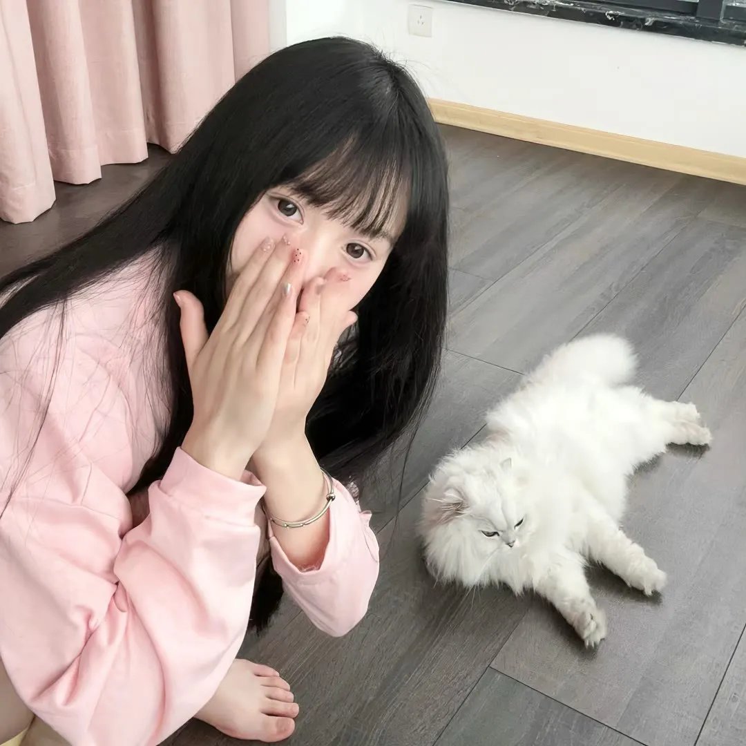 撒旦回归